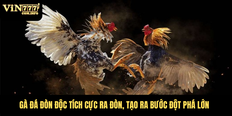 gà đá đòn độc